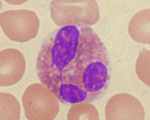 �D�_��