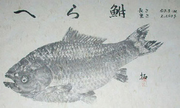 �ւ畩
