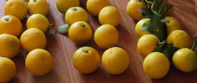 ����䂤�����~�J��