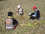 inekari029.jpg