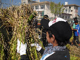 inekari030.jpg