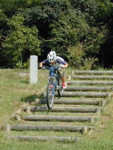 ����̓C�T�m�E���B